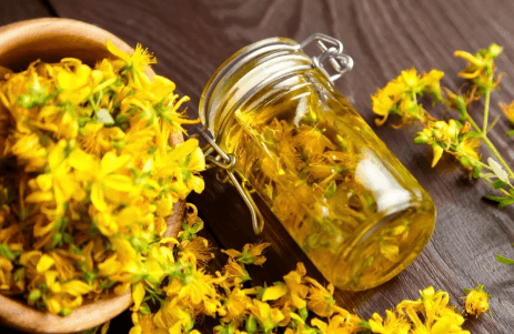 Herbal Extracts Manufacturers in India for Nutraceutical and Pharma Industries